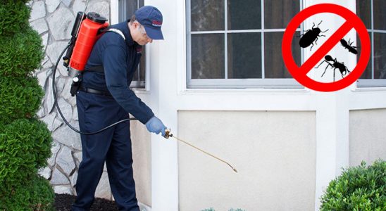 Sarayönü Bit İlaçlama böcek ilaçlama ve haşere kontrolü — ilaclama-tr.com